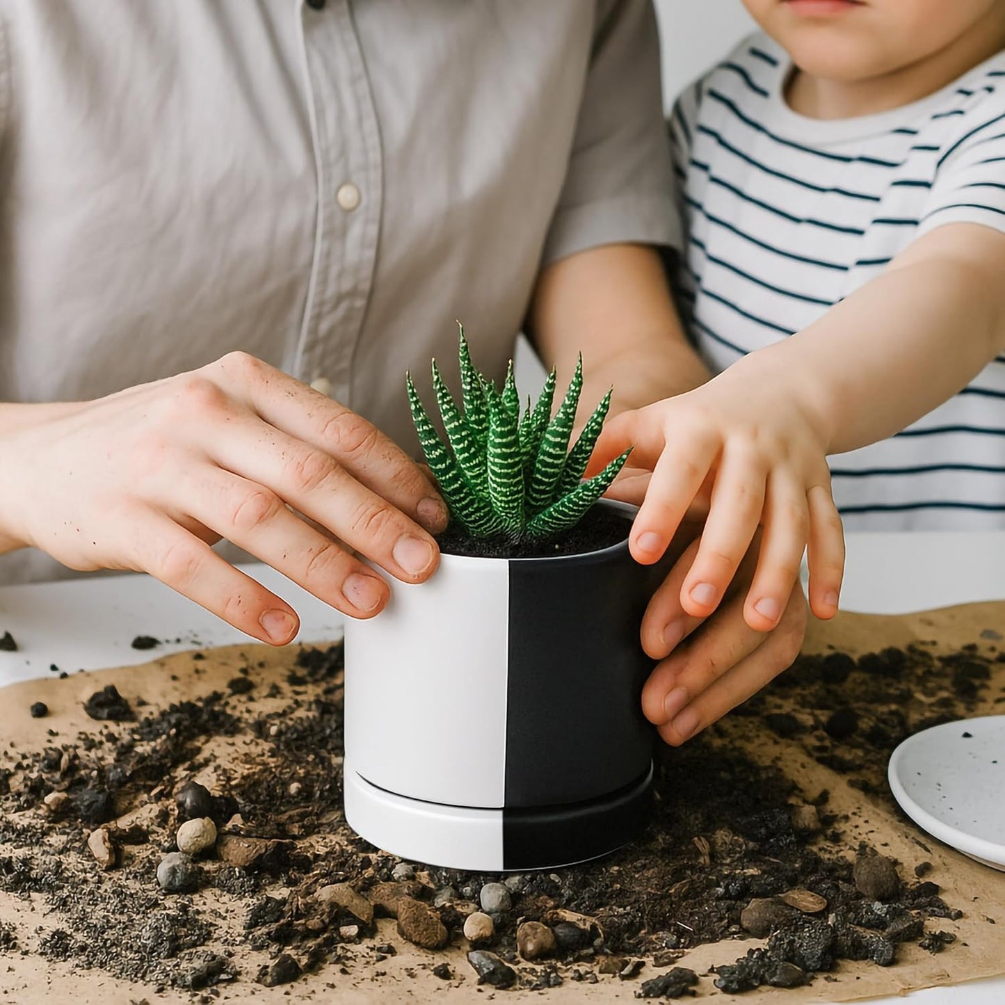 D'vine Dev 6.5 Inch Ceramic Planter Pot with Drainage Hole and Saucer, Indoor Cylinder Round Planter Pot, Olive, 94-O-C-J