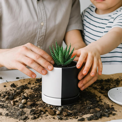 D'vine Dev 6.5 Inch Ceramic Planter Pot with Drainage Hole and Saucer, Indoor Cylinder Round Planter Pot, Olive, 94-O-C-J