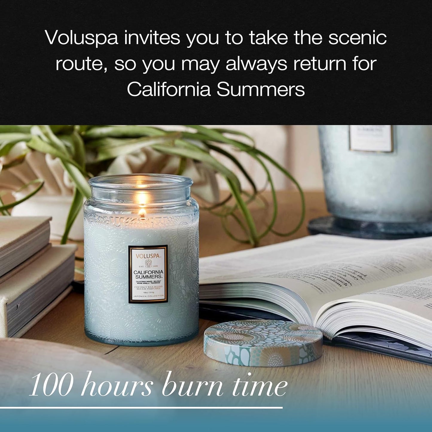 Voluspa Baltic Amber Candle, 18 oz, Coconut Wax Blend, Scented Candles for Home, 100 Hour Burn Time, Candle Jar