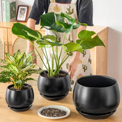 vancasso 3-Pack Ceramic Plant Pots, 3.7/4.8/6.2 Inch Indoor Planters with Saucers & Drainage Hole Planter pots for Indoor Plants and Flower, White