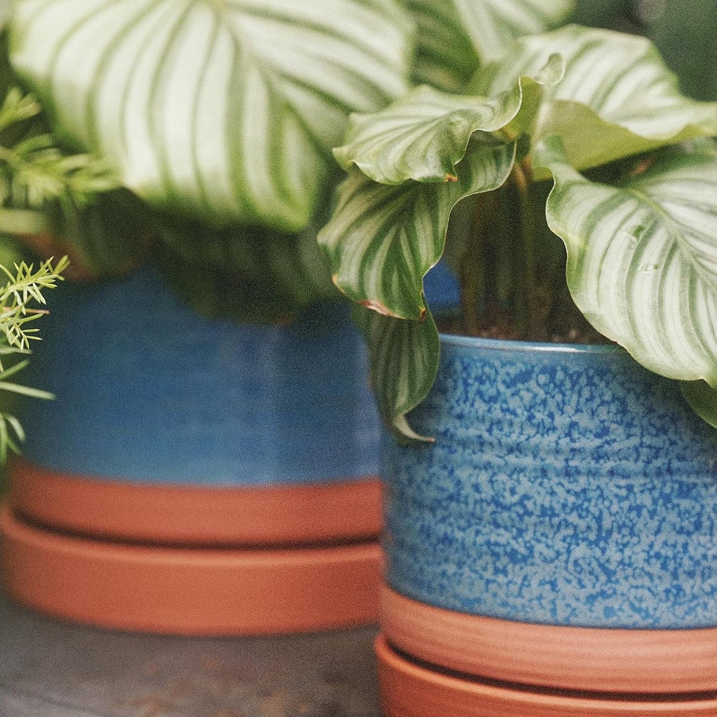 HERDUK 6 Inch Plant Pots, Ceramic Planter Pot with Drainage Hole & Saucer, Indoor/Outdoor Cylinder Round Planter Pot, Green & Beige