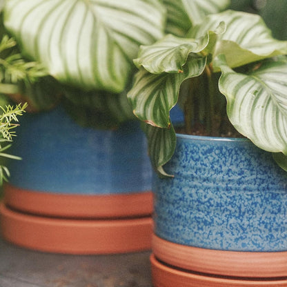 HERDUK 6 Inch Plant Pots, Ceramic Planter Pot with Drainage Hole & Saucer, Indoor/Outdoor Cylinder Round Planter Pot, Green & Beige