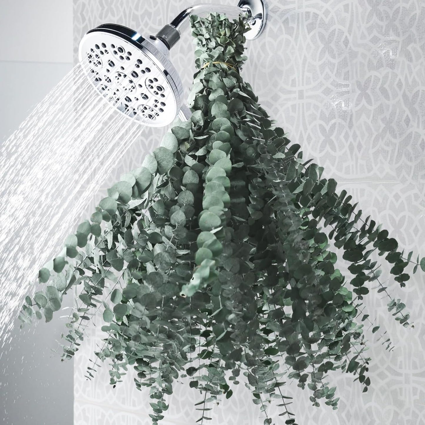 Eslibin 21 Pcs Real Dried Eucalyptus Stems, 17" Natural Fresh Eucalyptus Branches for Shower, Greenery Leaves for Vase Filler, Fragrance, Fresh Silk Dry Live Plants Decor