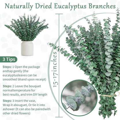 50 Pcs Preserved Eucalyptus Stems, 17 Inch Real Dried Eucalyptus Branches for Shower, Vase Arrangements, Home Decor, Wedding, Bathroom