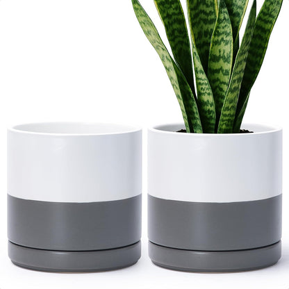 D'vine Dev Set of 2 Plants Pots, 6.5 Inch Ceramic Planter Pot for Plants with Drainage Hole and Saucer, White, 94-V-C-1