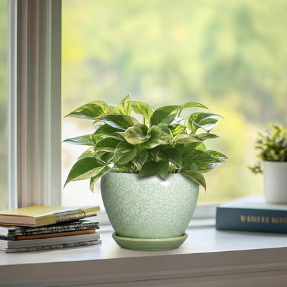 6 Inch Plant Pot - Ceramic Pots for Plants with Drainage Hole and Saucer, Round Succulent Planter Indoor Outdoor, Modern Flower Pot for Snake Plants, Home Decor, Gifts for Plant Lover, Blue