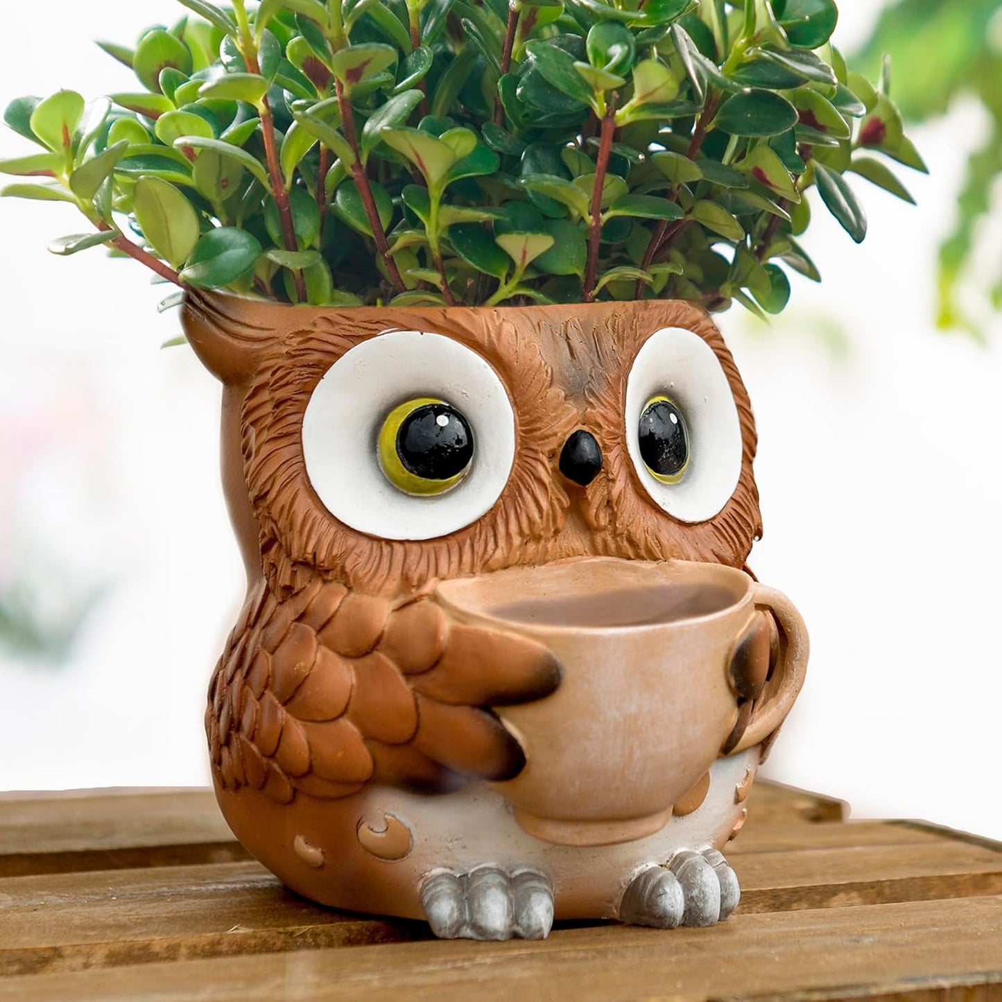 Saysmile Unique Owl Plant Pots Indoor, Cute Small Succulent Pots with Drainage Hole, Rocking Chair Planters for Outdoor Indoor Plants, Resin Flower Pot for String of Pearls, Gift Ideas for Mother