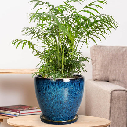10 Inch Ceramic Planter Pot Round Plant Pot for Indoor Plants Outdoor Large Flower Pot with Drainage Hole and Saucer Blue