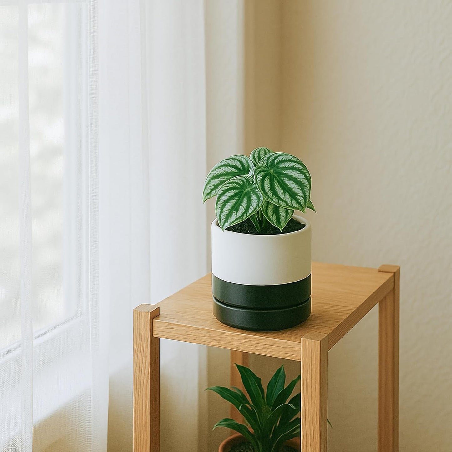 D'vine Dev 6.5 Inch Ceramic Planter Pot with Drainage Hole and Saucer, Indoor Cylinder Round Planter Pot, Olive, 94-O-C-J