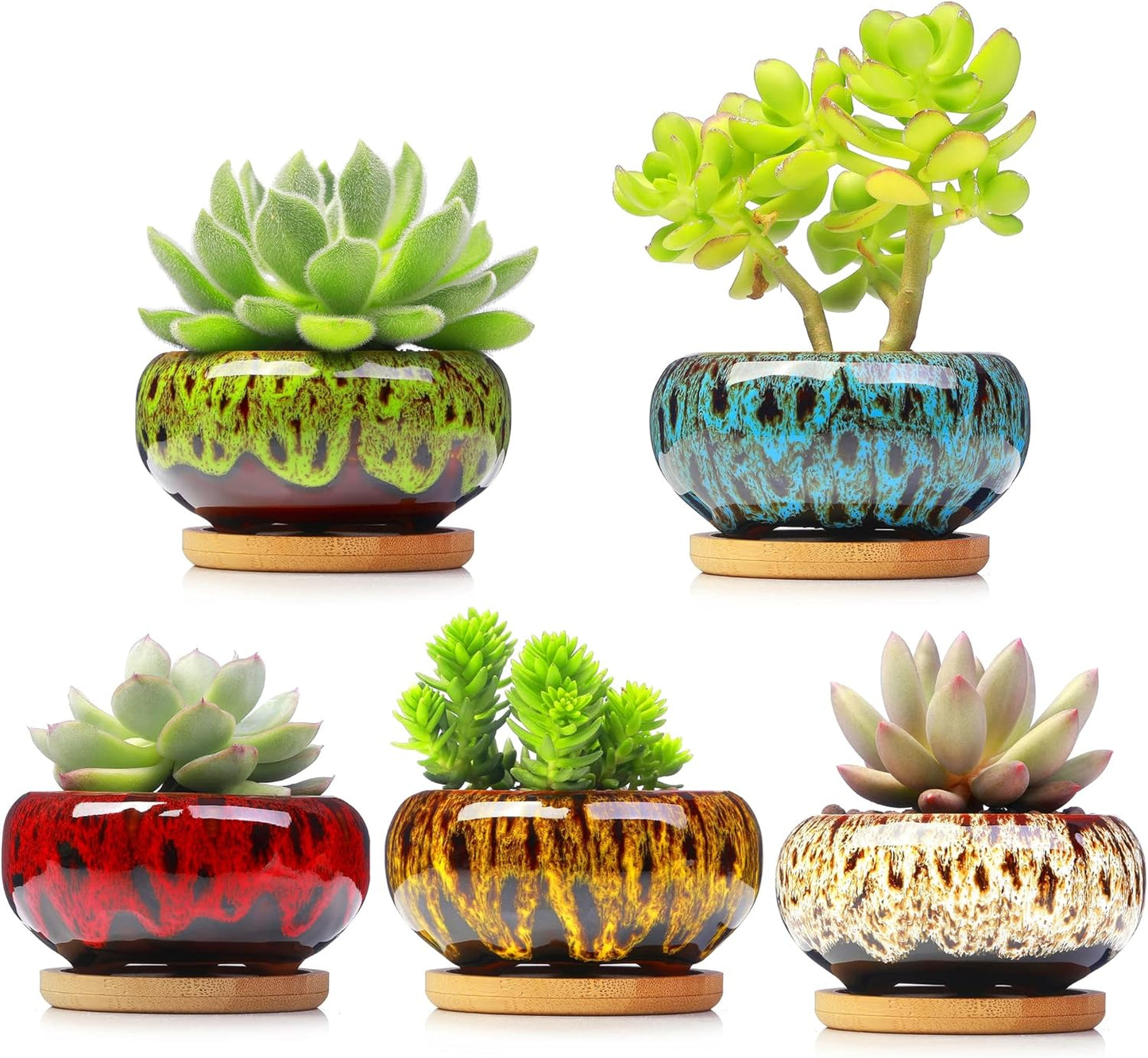 Cute Ceramic Succulent Garden Pots, Planter with Drainage and Attached Saucer, Set of 5 -Plants Not Included (Round)
