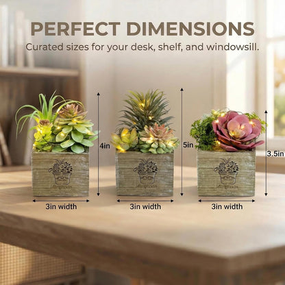 Succulent Plants Artificial, 3 Pack Small Fake Plants in Wood Pot for Home Decor, Farmhouse Artificial Plants Indoor for Living Room Bathroom Bedroom Office Kitchen Desk Wedding Coffee Table Decor