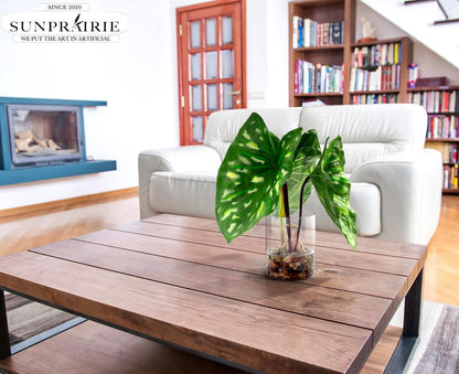 SUNPRAIRIE Realistic Faux Plant in Clear Pot with Artificial Water, Narrow Arrowhead Leaves. Artificial Plants Indoor and Outdoor