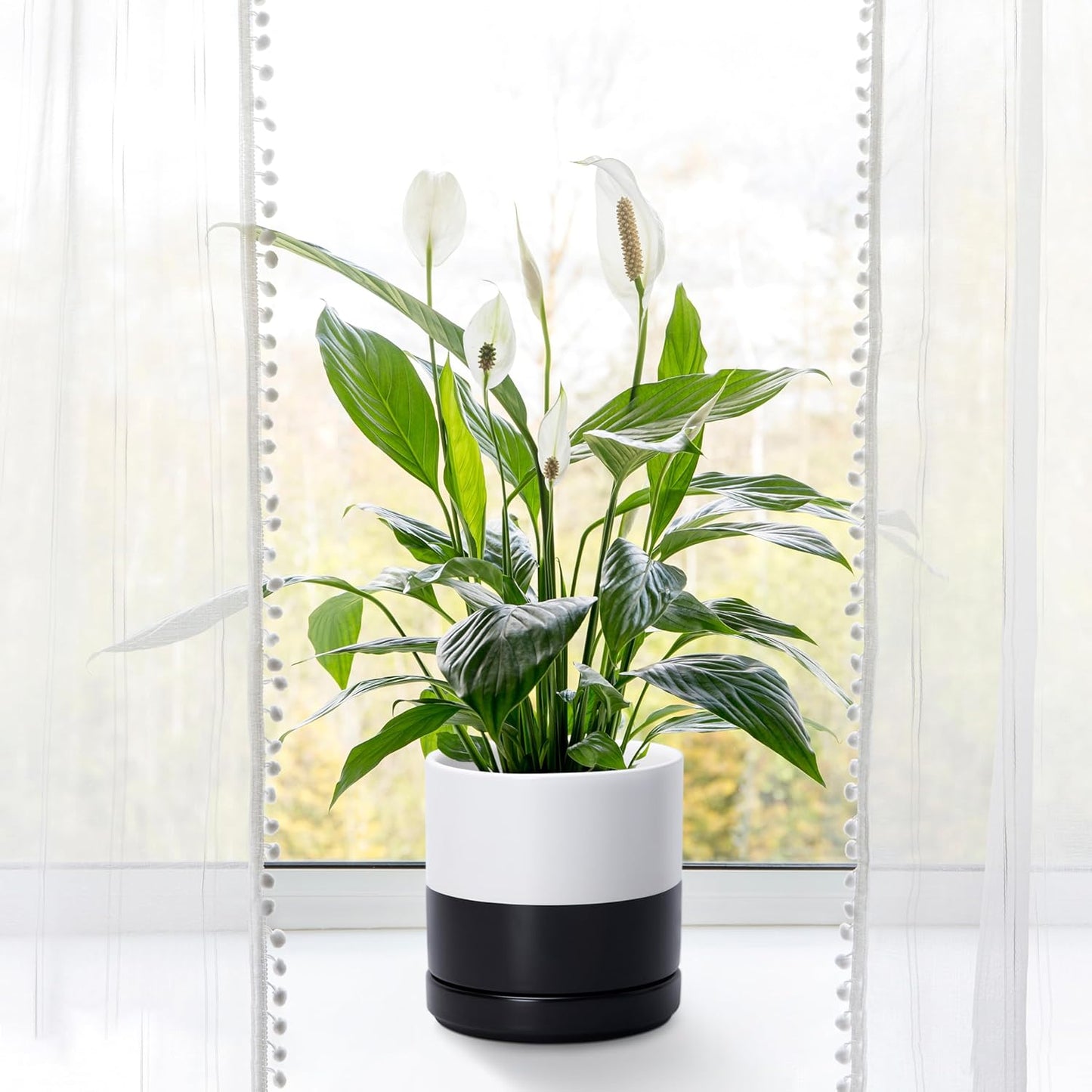 D'vine Dev 6.5 Inch Ceramic Planter Pot with Drainage Hole and Saucer, Indoor Cylinder Round Planter Pot, Olive, 94-O-C-J