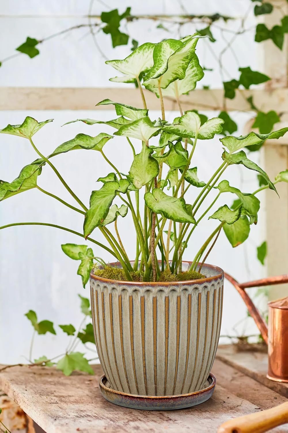 Oairse Ceramic Pots for Indoor Plants, 4.9 +5.7 inch Set of 2 Brown Plant Pots with Drainage Holes and Saucers Texture Ceramic Planters Indoor Outdoor Flower Planters for Succulent