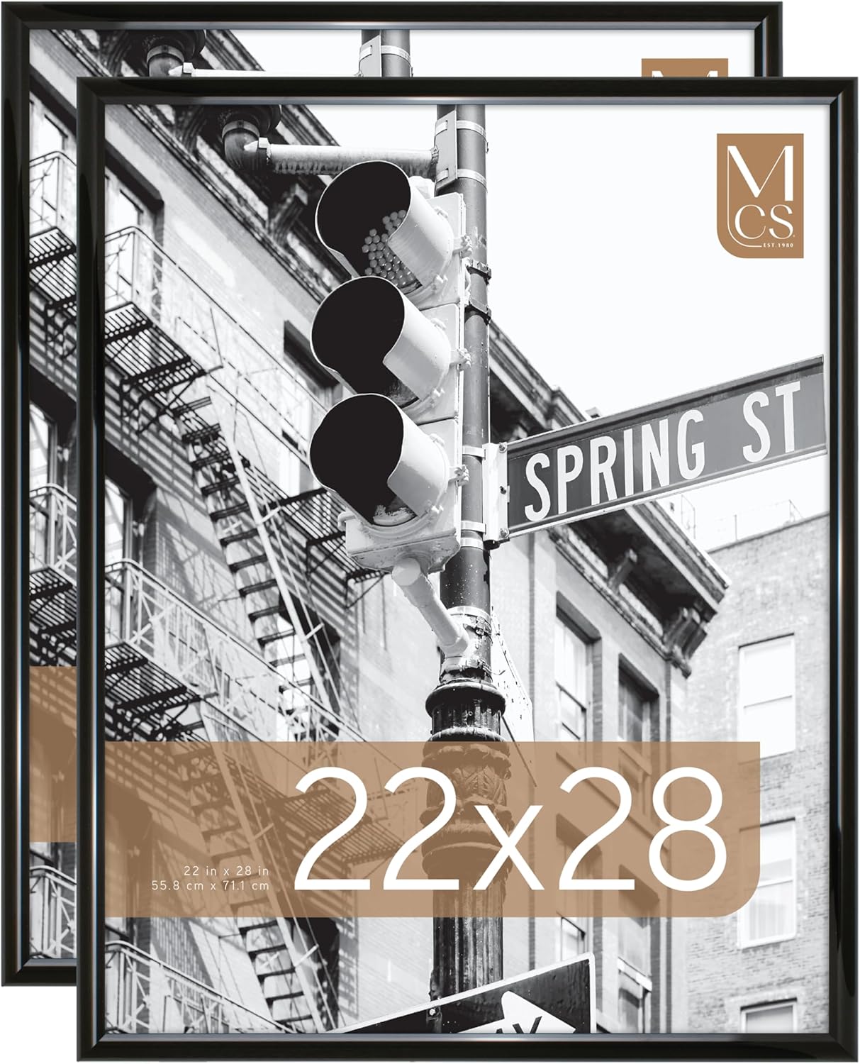 MCS Trendsetter 24x36 Poster Frame Black High-Gloss, Vertical & Horizontal Wall Hanging Large Picture Frame for Photos, Posters & Art Prints (1-Pack)