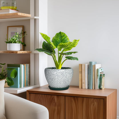 6 Inch Plant Pot - Ceramic Pots for Plants with Drainage Hole and Saucer, Round Succulent Planter Indoor Outdoor, Modern Flower Pot for Snake Plants, Home Decor, Gifts for Plant Lover, Blue