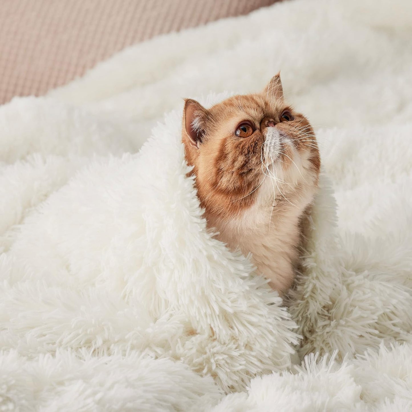 Bedsure GentleSoft Fluffy Fuzzy Faux Fur Throw Blanket for Couch, Soft Sherpa Fleece Cozy Gifts for Women, Plush Bed Blanket Room Decor for Men, Thick Warm Minky Teen Gifts Winter Bedding