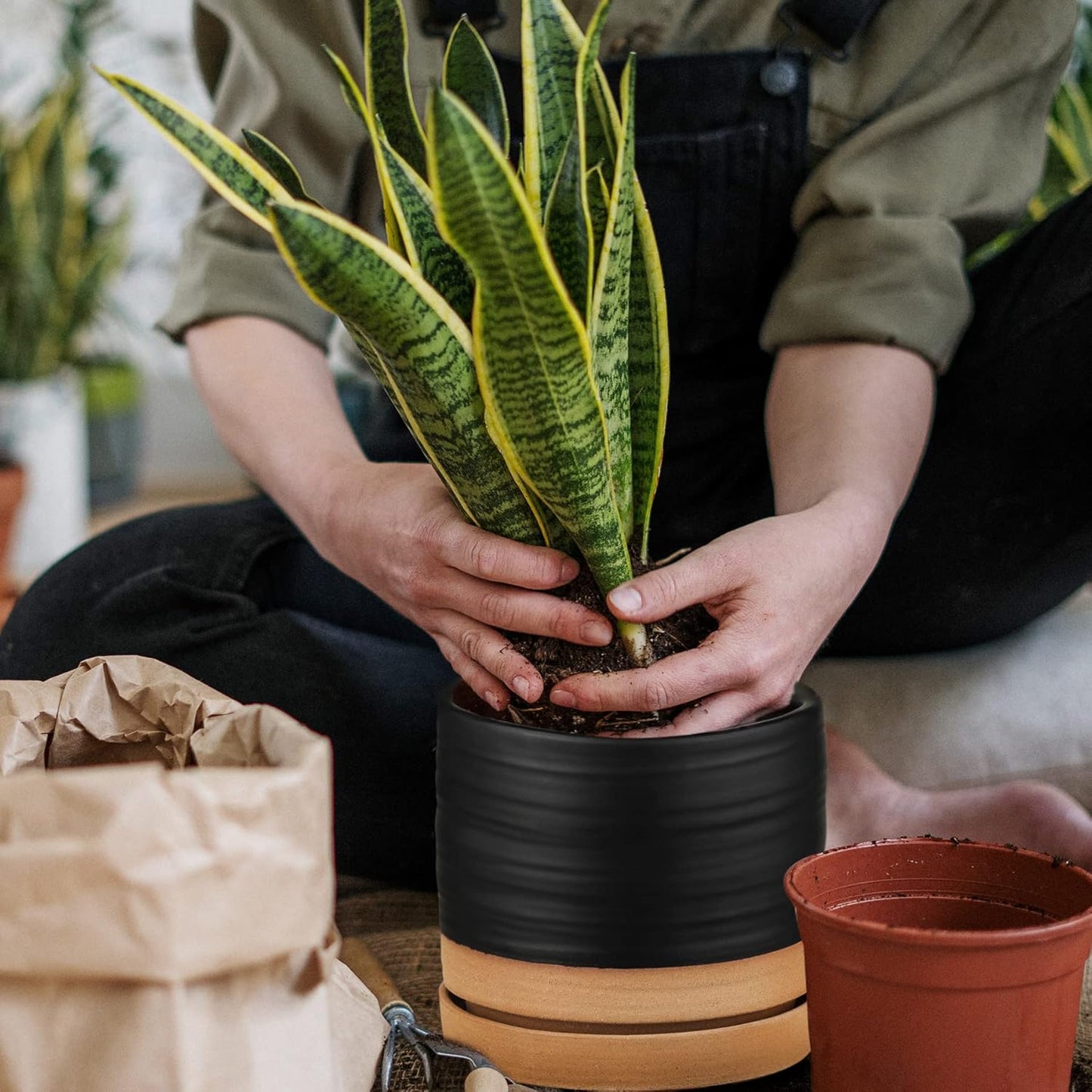 HERDUK 6 Inch Plant Pots, Ceramic Planter Pot with Drainage Hole & Saucer, Indoor/Outdoor Cylinder Round Planter Pot, Green & Beige
