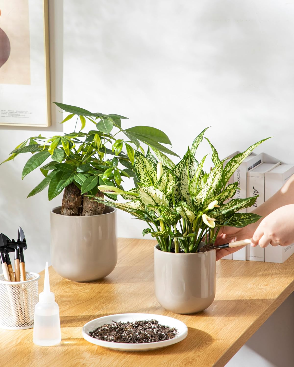 vancasso Ceramic Plant Pots, 4+5+6 inches, Set of 3, Planters with Drainage Hole, Flower Pots Planters Pots for Indoor Plants, Modern Indoor Decorative Garden Pot, Home Decor, White