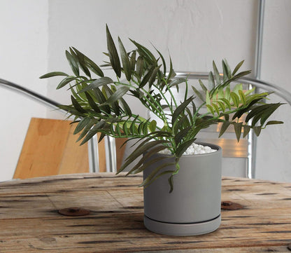 D'vine Dev Set of 2 Plants Pots, 6.5 Inch Ceramic Planter Pot for Plants with Drainage Hole and Saucer, White, 94-V-C-1