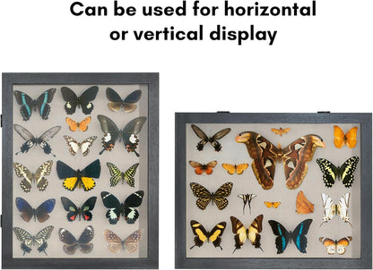 Americanflat Front Opening 11x14 Shadow Box Frame with Shatter-Resistant Glass - Silhouette Collection - Shadow Box Display Case for Tabletop and Wall Display - Black