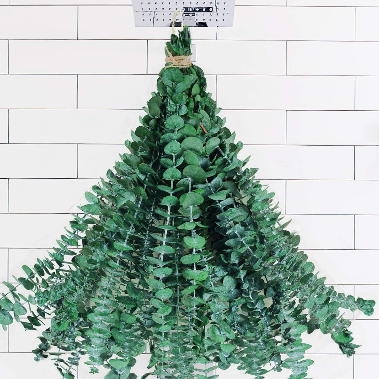 30 Pcs Dried Preserved Eucalyptus Stems Shower Bundle, 9oz 17" 100% Natural Fresh Eucalyptus Plant, Real Eucalyptus Leaves Branches for Shower Vase Filler, Dried Flowers Arrangement Home Decor