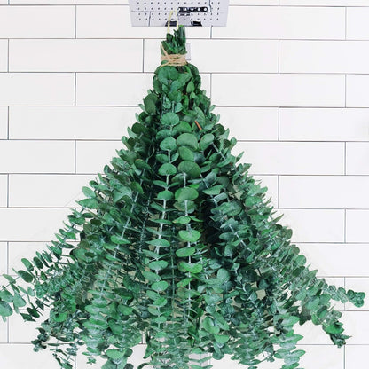 30 Pcs Dried Preserved Eucalyptus Stems Shower Bundle, 9oz 17" 100% Natural Fresh Eucalyptus Plant, Real Eucalyptus Leaves Branches for Shower Vase Filler, Dried Flowers Arrangement Home Decor