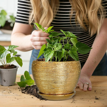 Ceramic Modern Glaze Succulent Planter Pot with Drainage Hole and Saucer 6 Inch Round Flower Plant Pot for Indoor Outdoor Herb Snake Plants