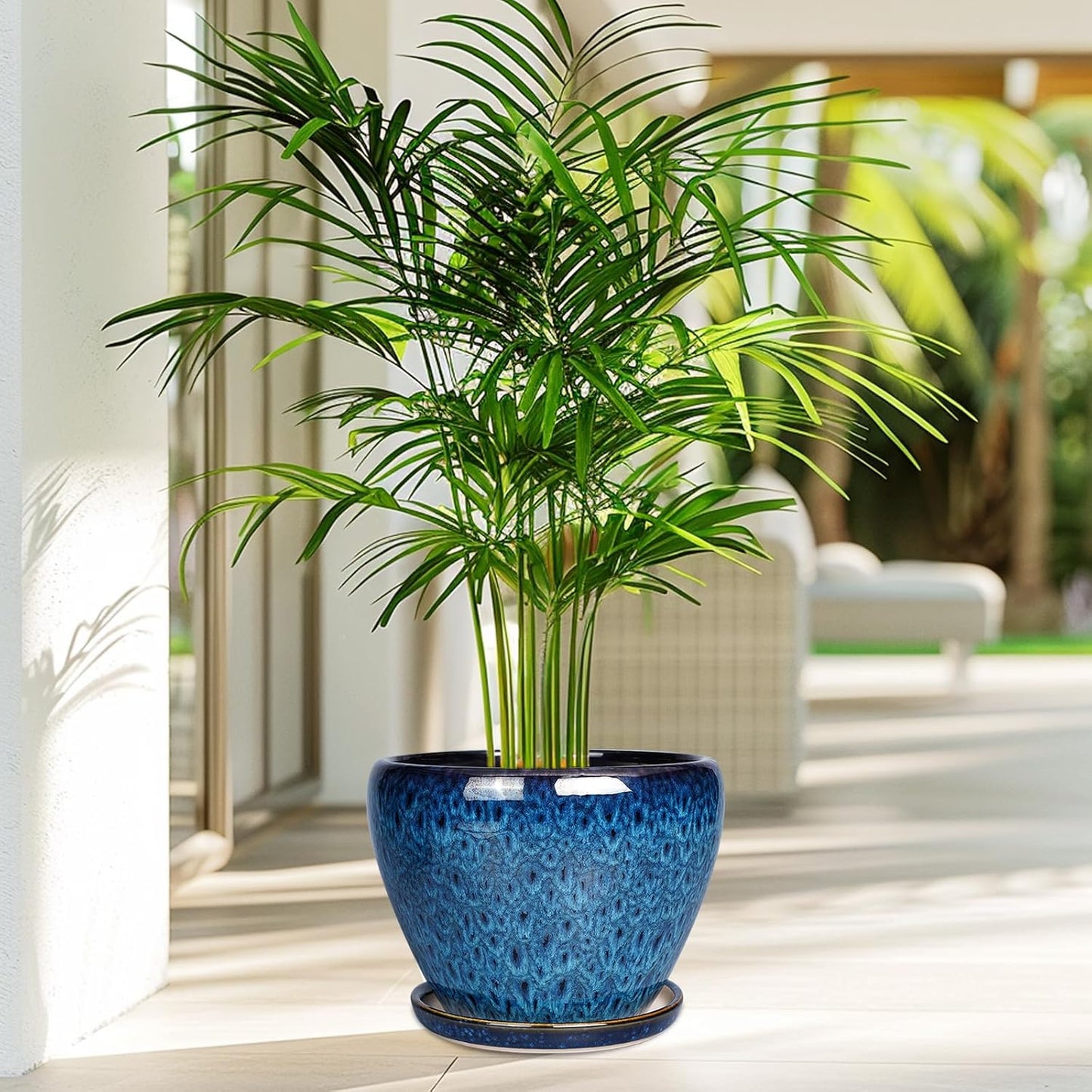 Ceramic Modern Glaze Succulent Planter Pot with Drainage Hole and Saucer 6 Inch Round Flower Plant Pot for Indoor Outdoor Herb Snake Plants