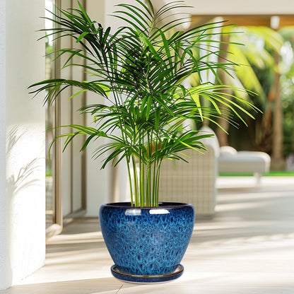 Ceramic Modern Glaze Succulent Planter Pot with Drainage Hole and Saucer 6 Inch Round Flower Plant Pot for Indoor Outdoor Herb Snake Plants