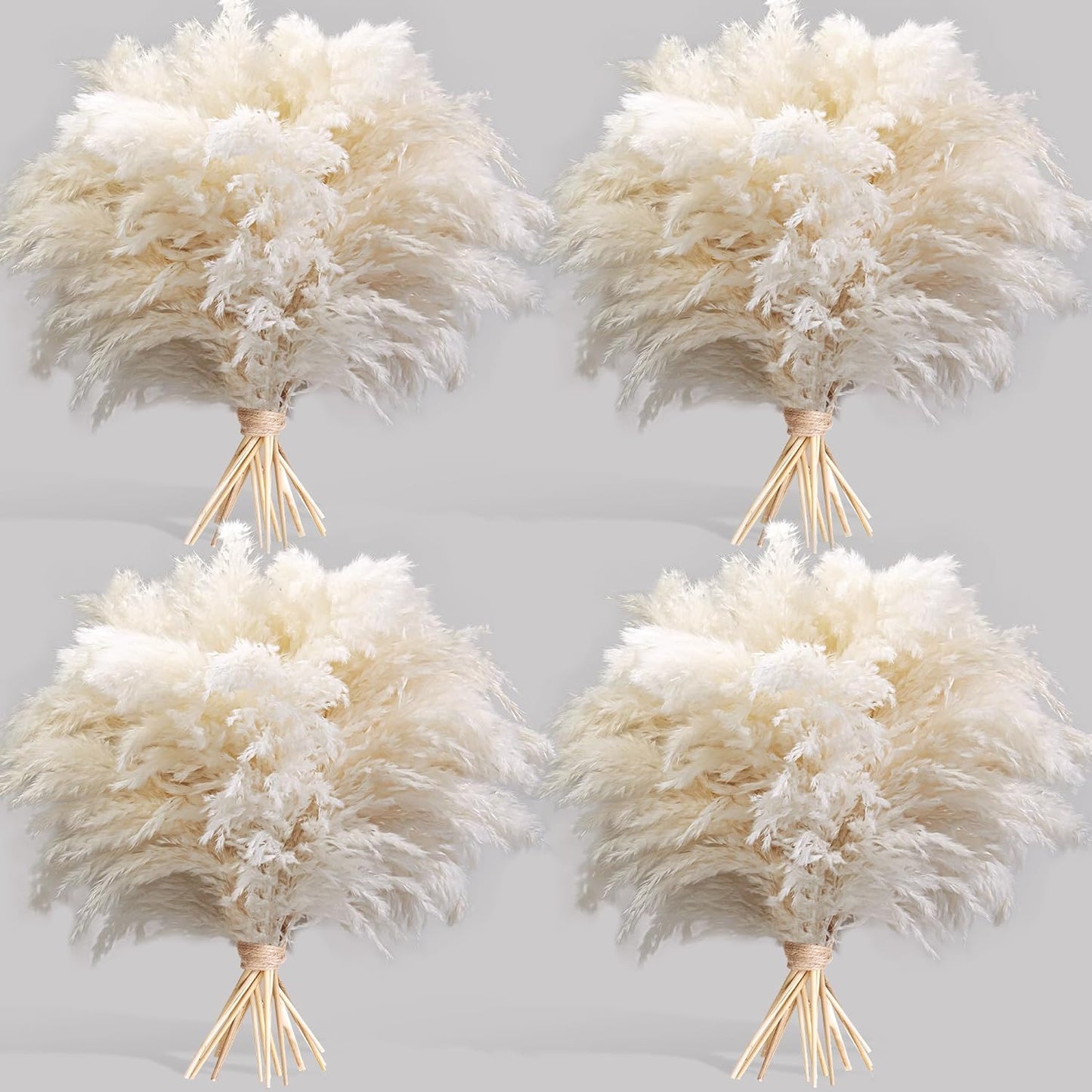 Pampas Grass Decor, Natural Dry Pampas Grass Small, Short Pampass Bulk for Farmhouse, Wall, Kitchen, Bedroom Decor, Office Decor (17 inch )