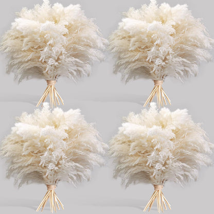 Pampas Grass Decor, Natural Dry Pampas Grass Small, Short Pampass Bulk for Farmhouse, Wall, Kitchen, Bedroom Decor, Office Decor (17 inch )