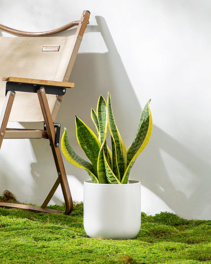 vancasso Ceramic Plant Pots, 4+5+6 inches, Set of 3, Planters with Drainage Hole, Flower Pots Planters Pots for Indoor Plants, Modern Indoor Decorative Garden Pot, Home Decor, White