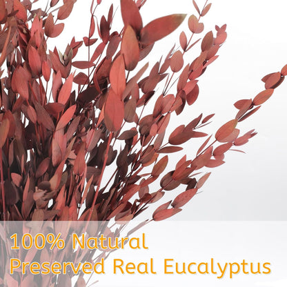 Real Eucalyptus Stems 20PCS Dried Preserved Fresh Eucalyptus Silver Dollar Leaves for Shower - Greenery Branches for Wedding Home Party Vase Filler Spring Decor