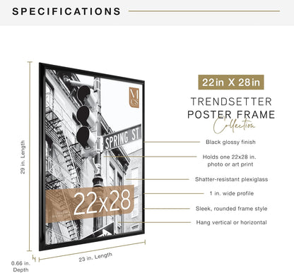 MCS Trendsetter 24x36 Poster Frame Black High-Gloss, Vertical & Horizontal Wall Hanging Large Picture Frame for Photos, Posters & Art Prints (1-Pack)