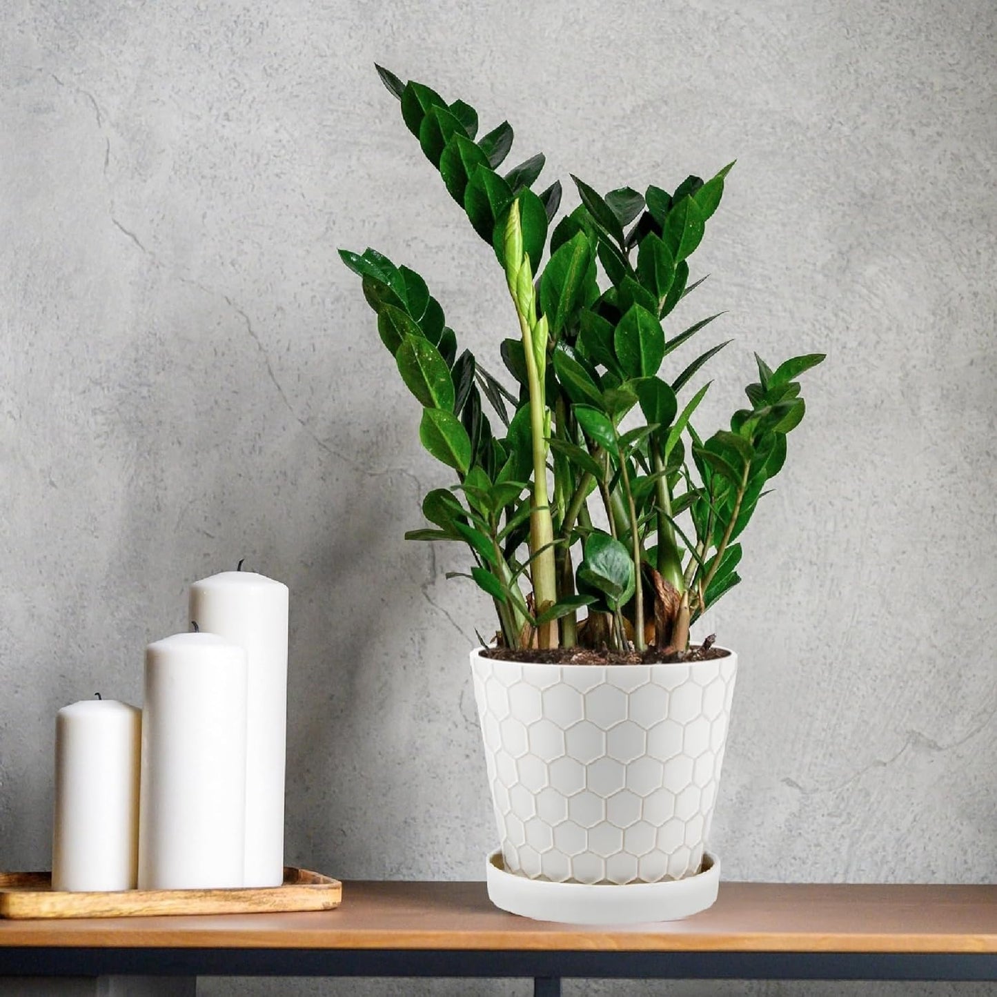 Ceramic Plant Pots,4+5+6 Inch Pots for Indoor Plants,Planters with Drainage Holes and Ceramic Tray, Indoor Flower Pots Gardening Home Desktop Office Windowsill Decoration Gift,Set of 3 (Patina)