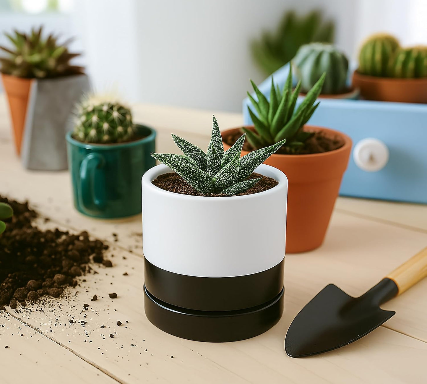 D'vine Dev 6.5 Inch Ceramic Planter Pot with Drainage Hole and Saucer, Indoor Cylinder Round Planter Pot, Olive, 94-O-C-J