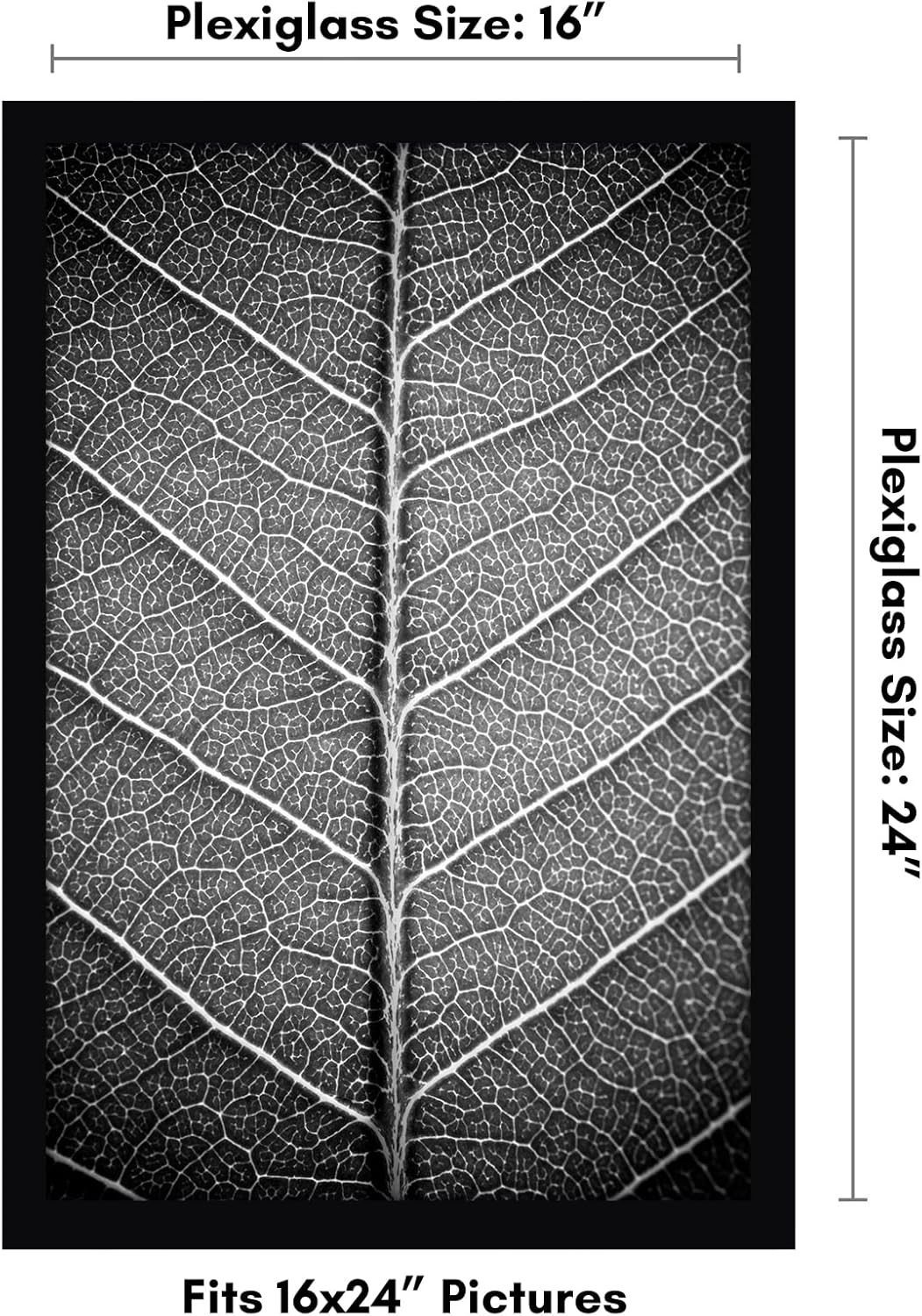 Americanflat 16x20 Picture Frame with Polished Plexiglass - Black Picture Frame - Wide Photo Frames Made of Engineered Wood for Vertical or Horizontal Wall Display - Epic Collection - Black - Colors C