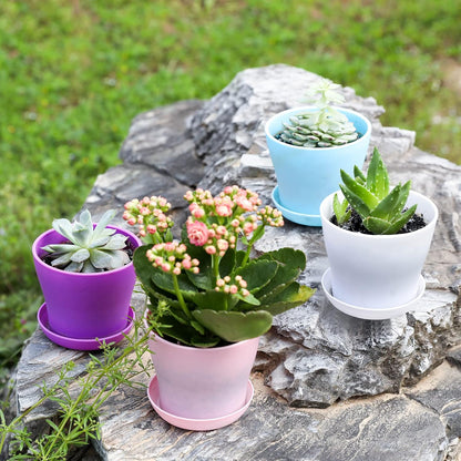 TDHDIKE 10 Pcs Plastic Planters Indoor Pots, Mini Flower Seedlings Nursery Flower Pot with Pallet, Modern Decorative Gardening Containers