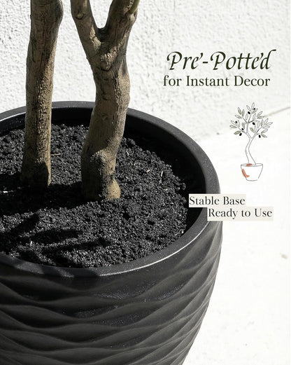 KOL 5.2ft Artificial Olive Tree Indoor, Tall Faux Olive Trees, Fake Olive Tree Floor Plant for Home Office Living Room Decor with Matte Black Pot