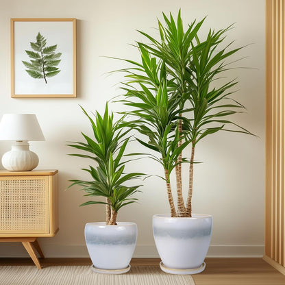Plant Pots Indoor, Ceramic Planters Pots with Drainage Holes and Saucers, 10+8+6 Inch, Set of 3, Round Large Flower Pots for Indoor Outdoor Plants, Blue