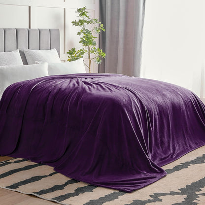 BEDELITE Fleece Blanket Black Throw Blankets for Couch & Bed, Luxury Plush Cozy Fuzzy Blanket 50x60 inches, Super Soft Warm Lightweight Throw Blanket for Travel Camping - Colors A