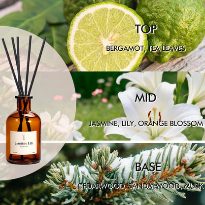 Reed Diffuser Set, 8.12 fl.oz Eucalyptus Scented Diffuser with Sticks, Up to 120 Days, Home Fragrance Reed Diffuser for Bathroom Shelf Decor & Room Freshener, 2 Pack