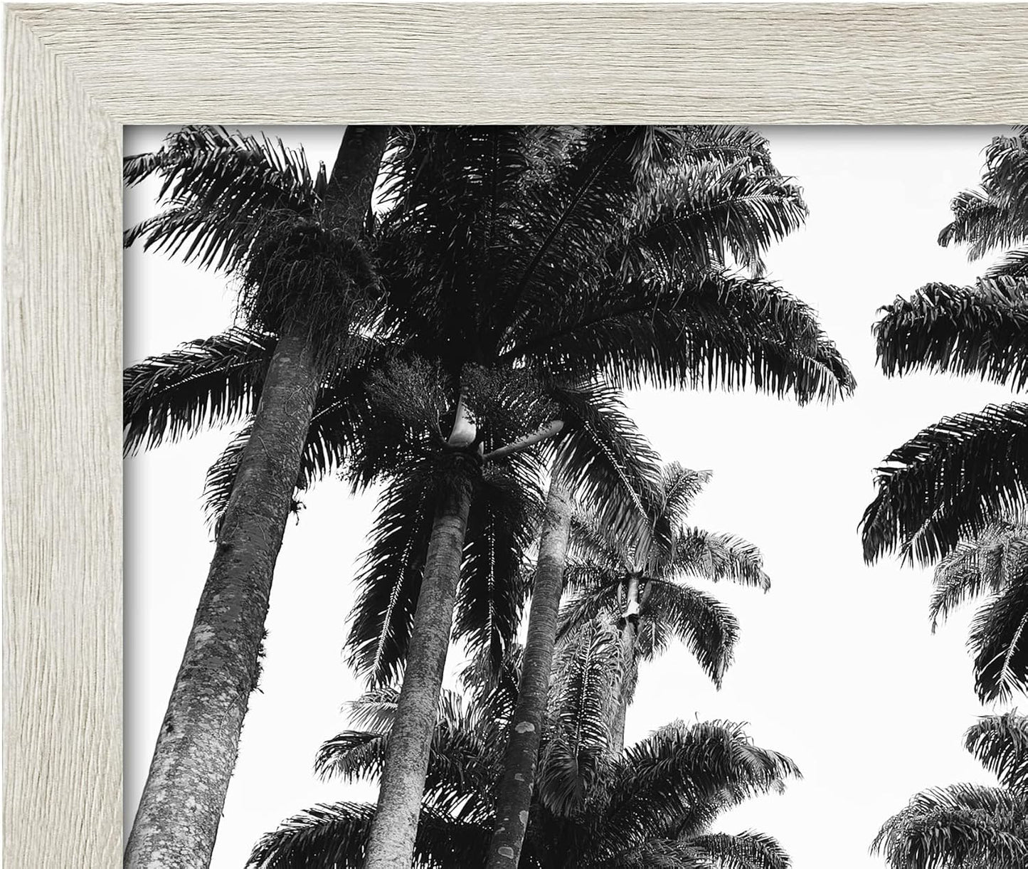 Americanflat 16x20 Picture Frame with Polished Plexiglass - Black Picture Frame - Wide Photo Frames Made of Engineered Wood for Vertical or Horizontal Wall Display - Epic Collection - Black - Colors A
