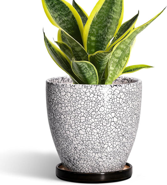 10 Inch Ceramic Planter Pot Round Plant Pot for Indoor Plants Outdoor Large Flower Pot with Drainage Hole and Saucer Blue
