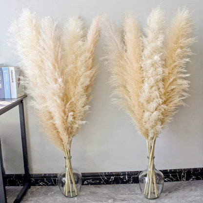 46" inch 10 Stems Natural Pampas Grass Decor Tall, Pompas Grass, Tall Pampas Grass for Weddingm, Farmhouse, Boho Home Decor (Beige)