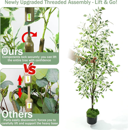 Caxchiling Faux Eucalyptus Tree 6FT, Artificial Potted Tree for Indoor Outdoor, Fake Floor Plants with Natural Wood Trunk, Home Office Living Room Bedroom Decor