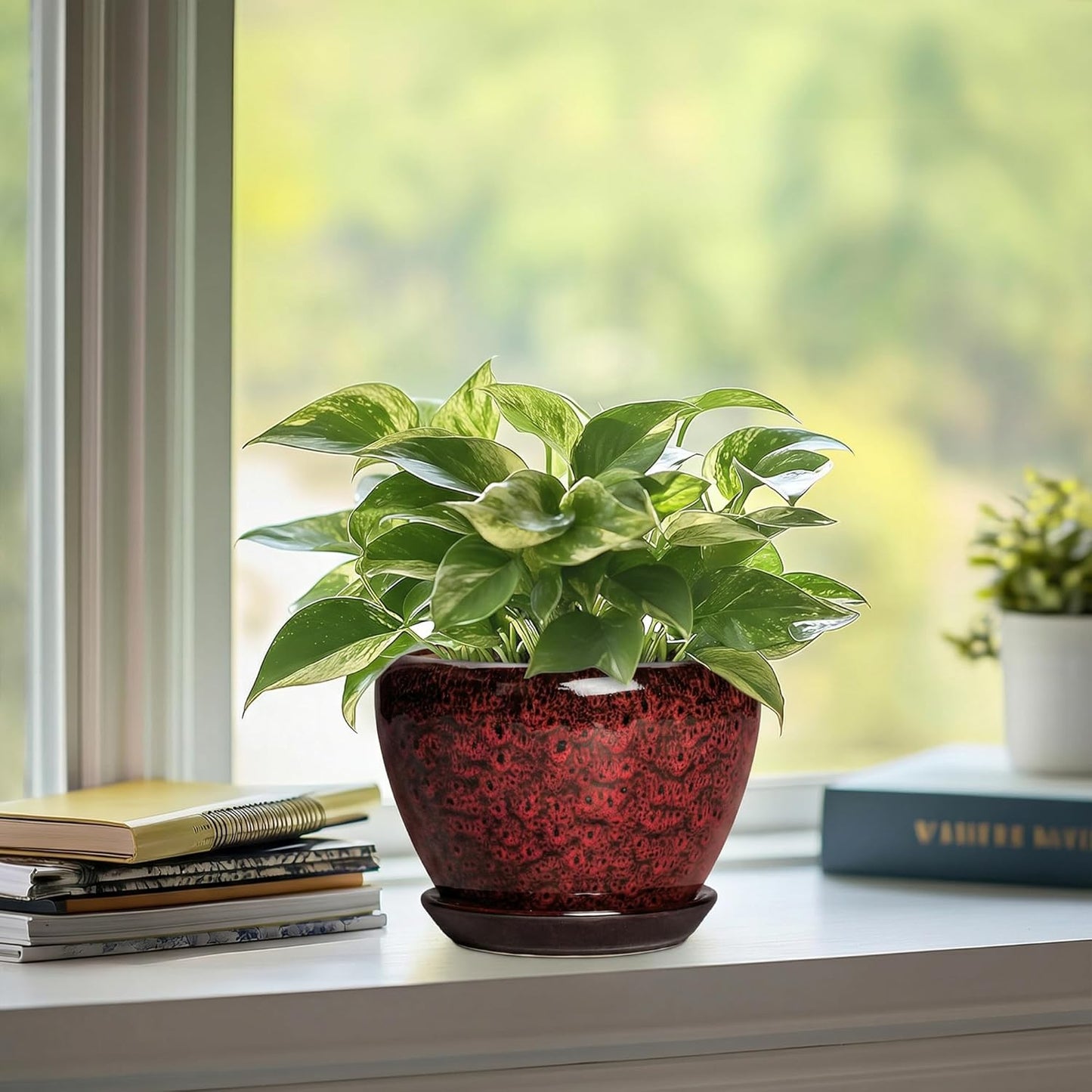 6 Inch Plant Pot - Ceramic Pots for Plants with Drainage Hole and Saucer, Round Succulent Planter Indoor Outdoor, Modern Flower Pot for Snake Plants, Home Decor, Gifts for Plant Lover, Blue