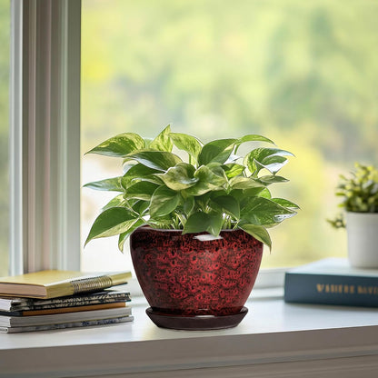 6 Inch Plant Pot - Ceramic Pots for Plants with Drainage Hole and Saucer, Round Succulent Planter Indoor Outdoor, Modern Flower Pot for Snake Plants, Home Decor, Gifts for Plant Lover, Blue