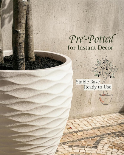 KOL 5.2ft Artificial Olive Tree Indoor, Tall Faux Olive Trees, Fake Olive Tree Floor Plant for Home Office Living Room Decor with Matte Black Pot